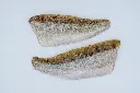 boehmerwaldfisch__produktfotos__20250605__DSF6812.webp