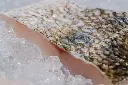 boehmerwaldfisch__produktfotos__20250605__ASF1670.webp