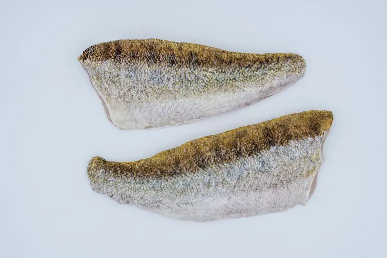 boehmerwaldfisch__produktfotos__20250605__DSF6812.webp