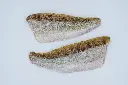 boehmerwaldfisch__produktfotos__20250605__DSF6812.webp